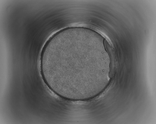 X0000115070992200911241118
