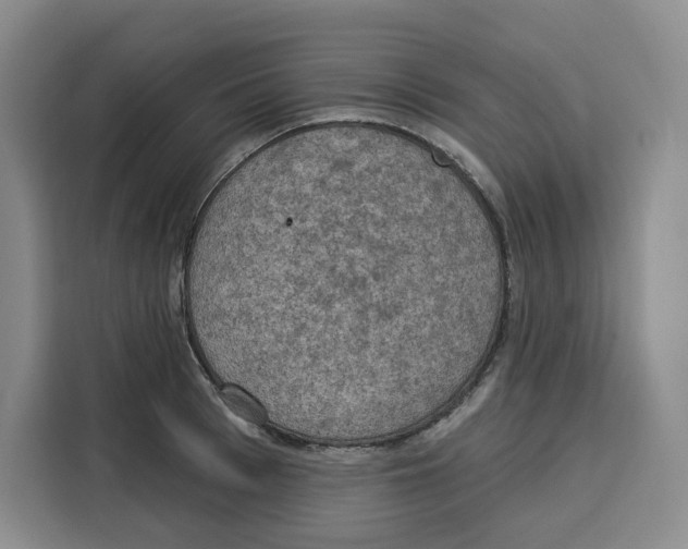 X0000115070993200911241118