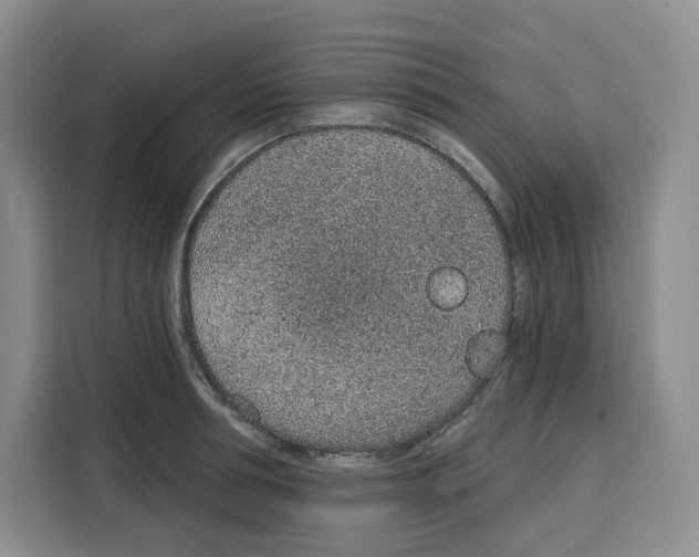 X0000115070994200911241118