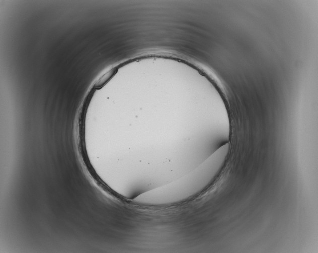 X0000115070999200911241118