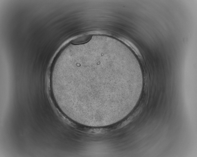 X0000115071000200911241118