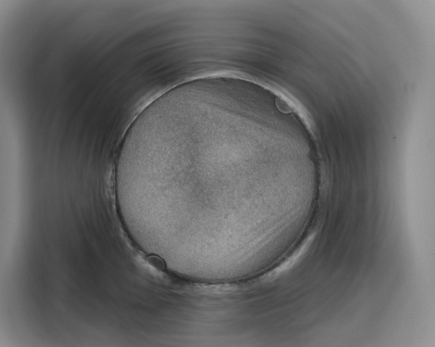 X0000115071001200911241118