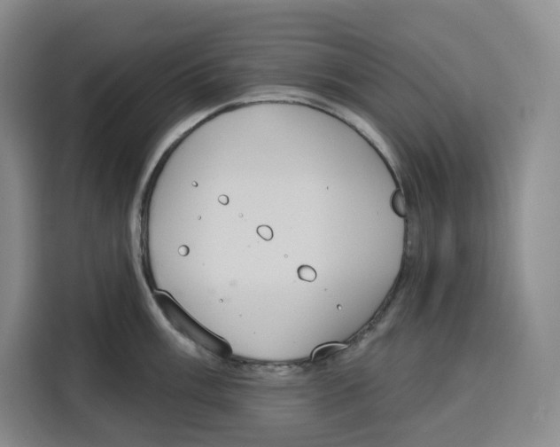X0000115071003200911241118