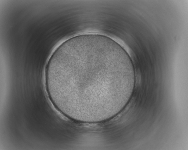 X0000115071006200911241118