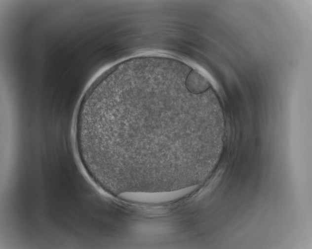 X0000115071007200911241118