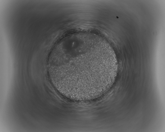 X0000115071009200911241118