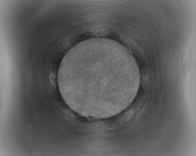 X0000115071010200911241118