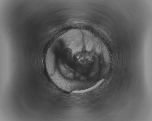 X0000115071013200911241118