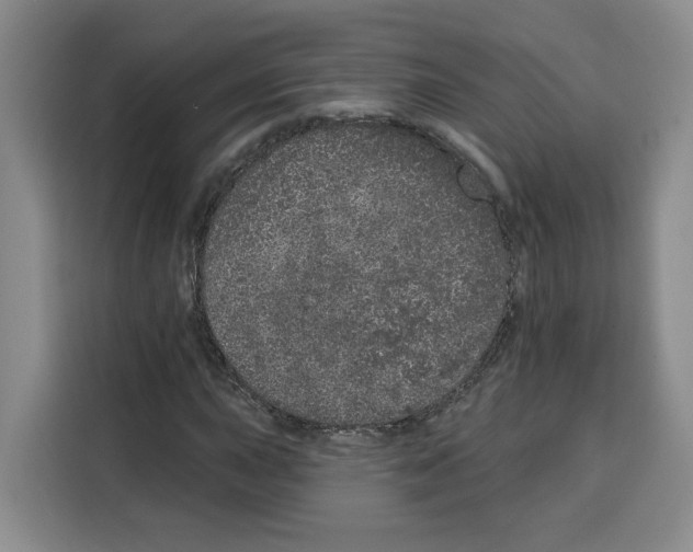 X0000115071015200911241118