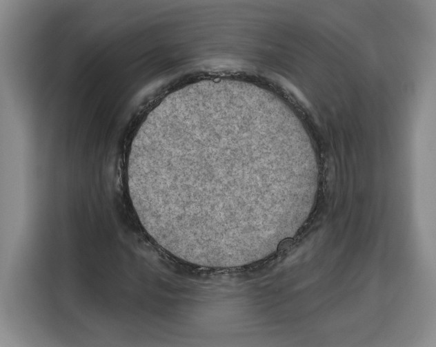 X0000115071016200911241118