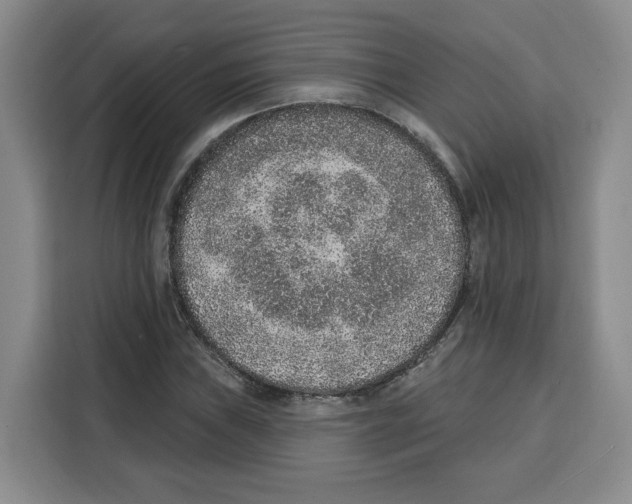 X0000115071019200911241118