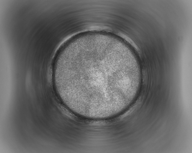 X0000115071021200911241118