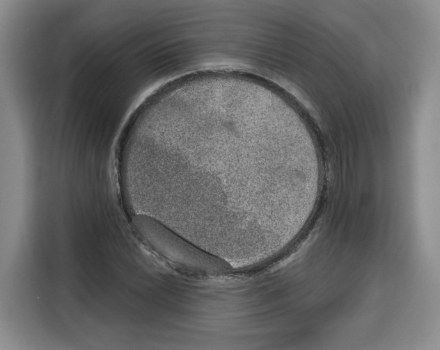 X0000115071022200911241118