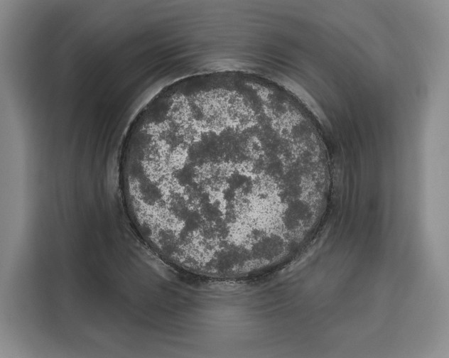 X0000115071023200911241118