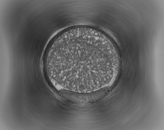 X0000115071024200911241118