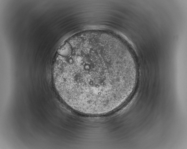 X0000115071025200911241118