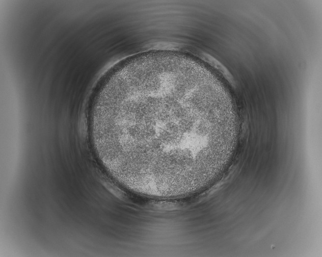 X0000115071027200911241118