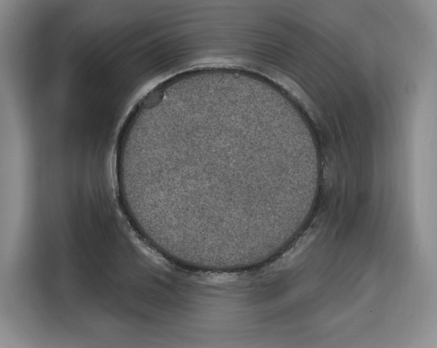 X0000115071030200911241118
