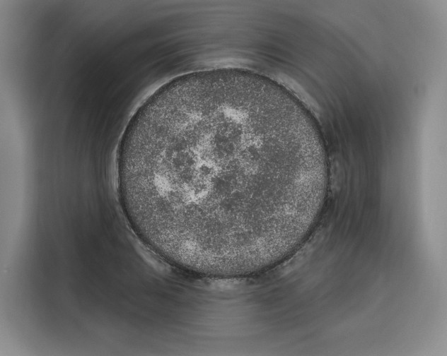 X0000115071031200911241118