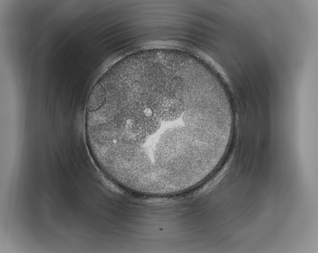 X0000115071033200911241118