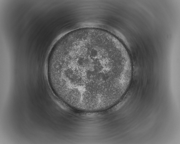 X0000115071035200911241118