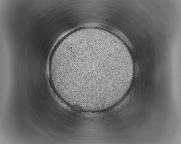 X0000115071036200911241118