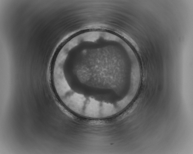 X0000115071037200911241118