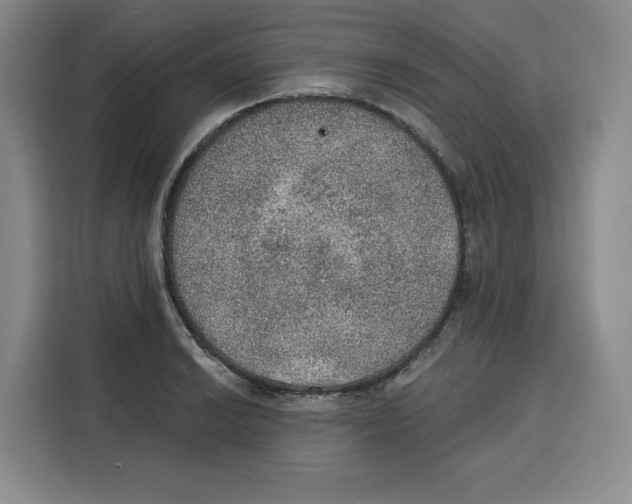 X0000115071038200911241118