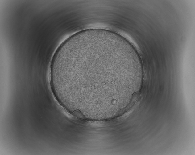 X0000115071040200911241118