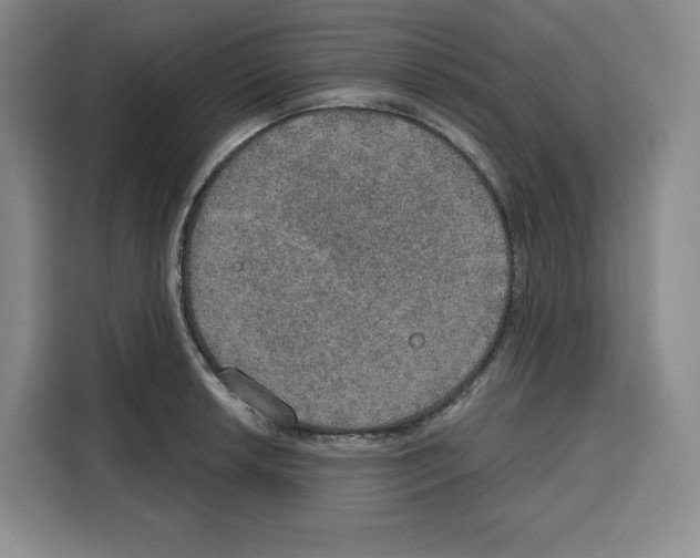 X0000115071042200911241118