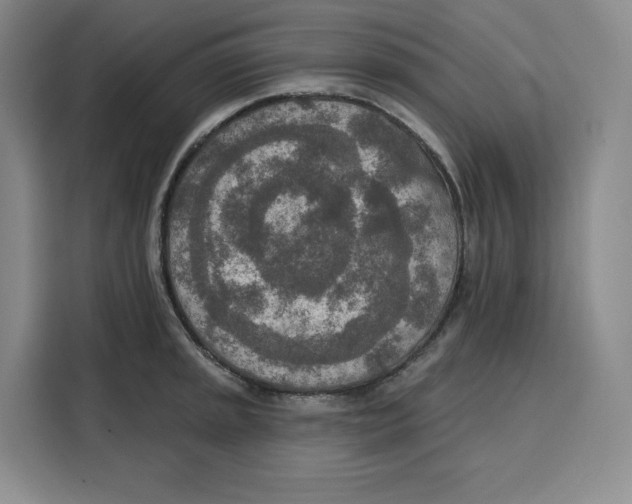 X0000115071045200911241118
