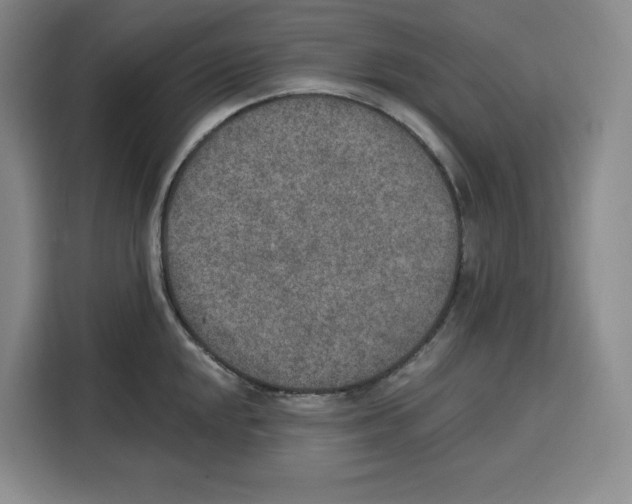 X0000115071048200911241118