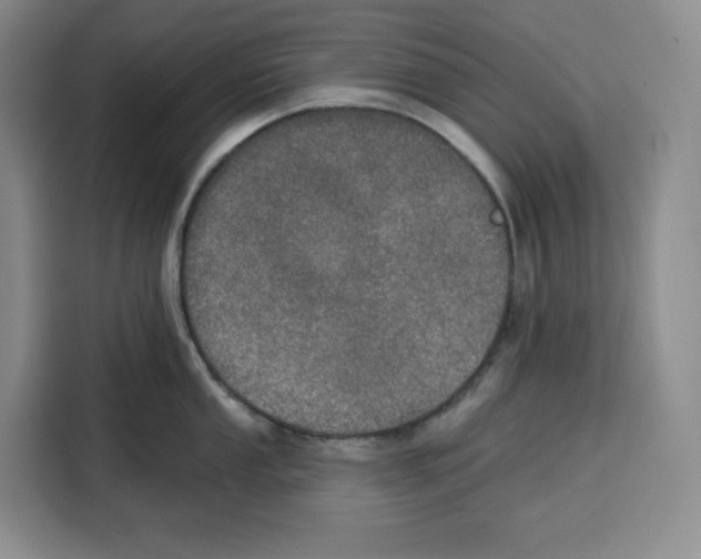 X0000115071053200911241118
