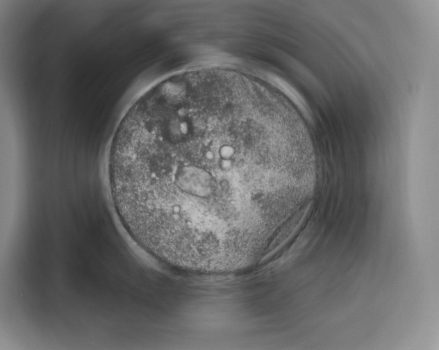 X0000115071055200911241118