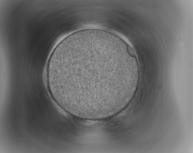 X0000115071056200911241118