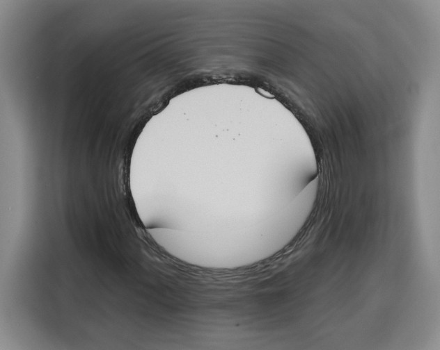 X0000115071060200911241118