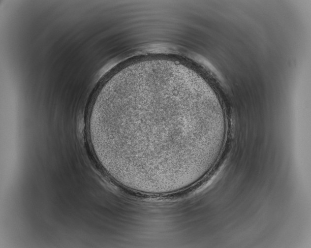 X0000115071065200911241117