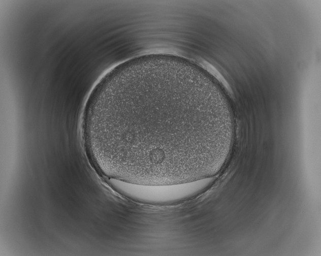 X0000115071068200911241117