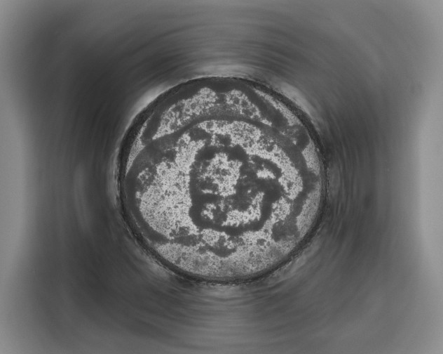 X0000115071071200911241117