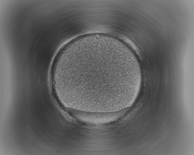 X0000115071072200911241117