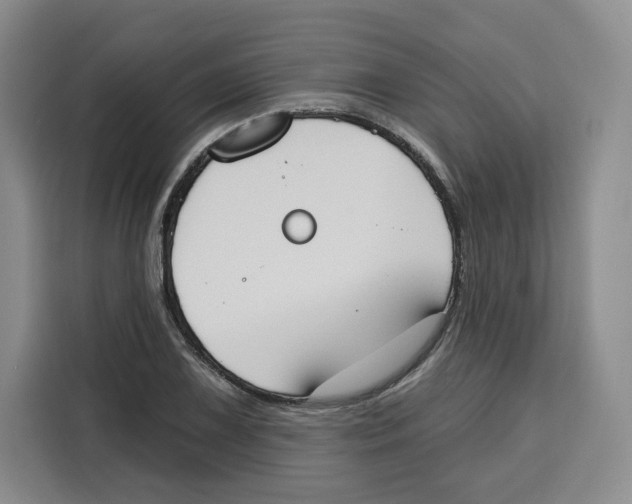 X0000115071075200911241117