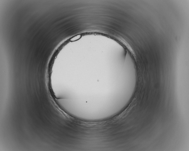 X0000115071076200911241117