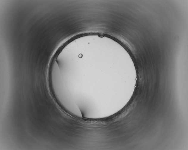 X0000115071077200911241117