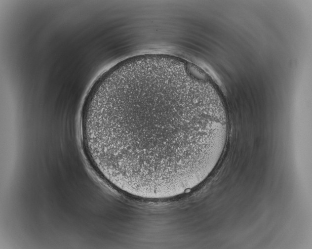 X0000115071080200911241117
