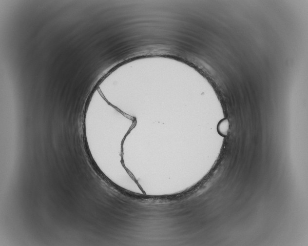 X0000115071081200911241117