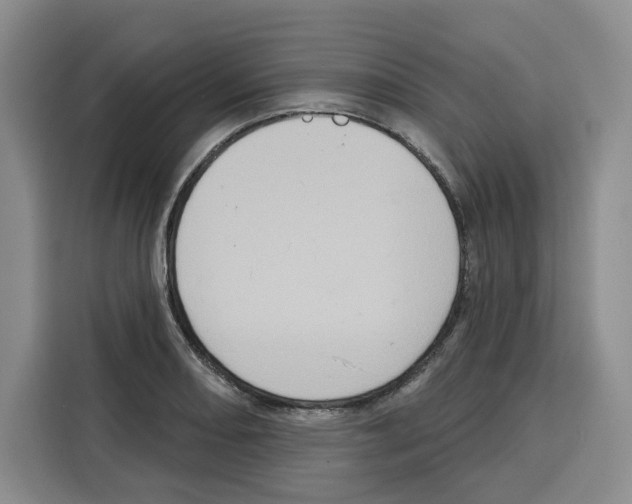 X0000115071082200911241117