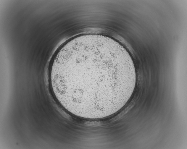 X0000115071083200911241117