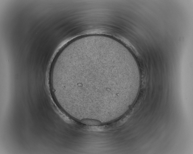 X0000115071086200911241117