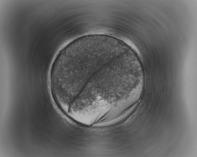 X0000115071088200911241117