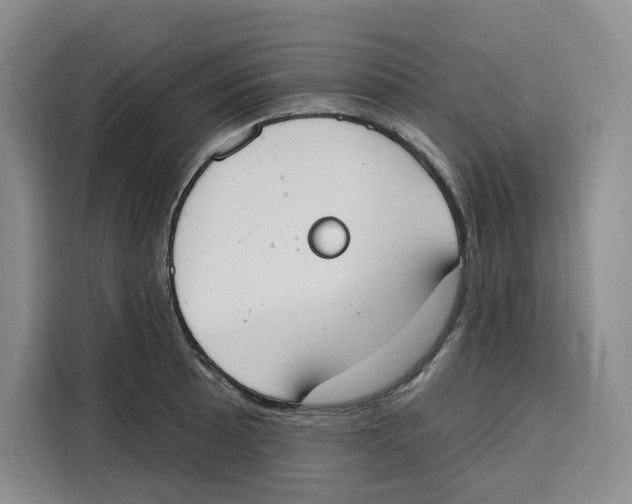 X0000115071089200911241117